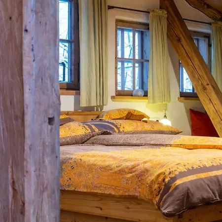 Ferienhaus Luxus-chalet Mühlermoos Ramsau im Zillertal